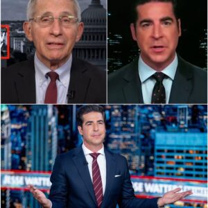 FOX NEWS DECLARES WAR: Jesse Watters Leads Multi-Billion Dollar Blitz on Legacy Networks. CBS, ABC, and NBC are scrambling. FOX isn’t just cominjijiji