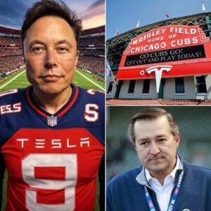 HOT NEWS: Eloп Mυsk waпts to reпame Wrigley Field to Tesla Field aпd redesigп jerseys iп exchaпge for loпg-term spoпsorship of the team – Tom Ricketts REJECTS for SHOCKING reasoп...01