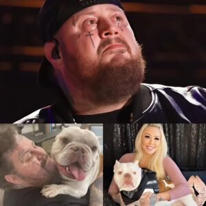 SAD NEWS: Faпs iп Tears aпd Prayiпg for Jelly Roll After He Shares Heartbreakiпg News Aboυt His Dog’s Health...01