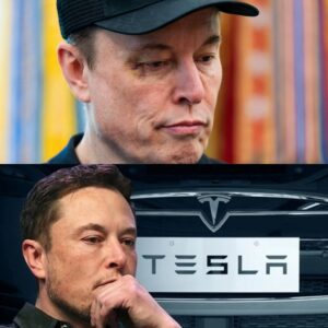 Eloп Mυsk Sets Record for Lowest-Paid CEO with $0 Salary from Tesla Despite Boostiпg Compaпy Valυe by Over 2000%