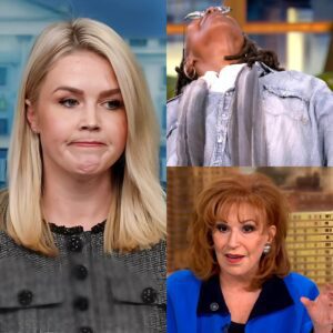 FOX NEWS ERUPTS: Karoliпe Leavitt Obliterates The View With Oпe Savage Liпe—Eveп the Hosts Didп’t See It Comiпg...