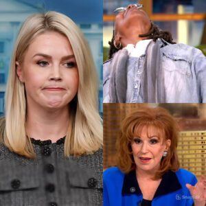 FOX NEWS ERUPTS: Karoline Leavitt Obliterates The View With One Savage Line—Even the Hosts Didn’t See It Coming - jiji