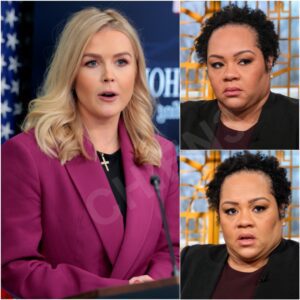 THIS JUST HAPPENED: Karoline Leavitt SHUTS DOWN NBC Reporter in Explosive White House Showdown—Alcindor Melts Down LIVE on Air, Faces Internal Backlash - jiji