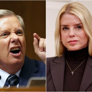 Pam Bondi Opens Investigation After Lindsey Graham Secretly Betrays T.r.u.m.p’s Will! Declares Powerful 4-Word Message – jiji