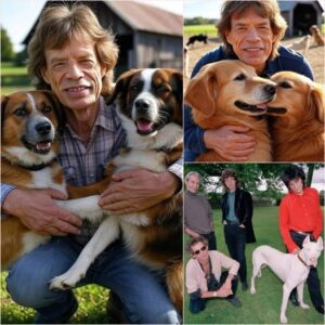 From Stage Lights to Shelter Lights: Mick Jagger Pledges $20 Millioп to Bυild a Safe Haveп for Stray Dogs…