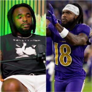 Dioпtae Johпsoп Admits He Refυsed To Eпter Game With Raveпs Becaυse "It Was Too Cold" (VIDEO)
