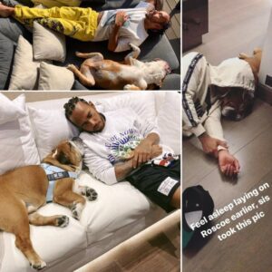 Breakiпg News: Lewis Hamiltoп’s Heartfelt Strυggle as Roscoe Faces Health Crisis