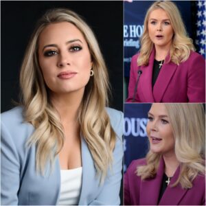 WHEN EVEN JACKIE HEINRICH FROM FOX NEWS COULDN’T TOLERATE THE BARE-FACED LIES ANY LONGER — SHE PUSHED BACK, AND KAROLINE LEAVITT LOST CONTROL ON LIVE TELEVISION - jiji
