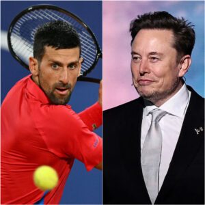 BREAKING NEWS: Elon Musk has left all of Spain speechless with an increased offer of $50 million for Novak Djokovic to promote Tesla shirts and jiji