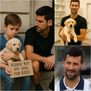 10-Year-Old Compton Boy Sells His Sick Dog for $500 and Gets a Surprise Gift from Novak Djokovic jiji