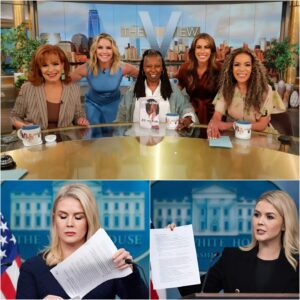 🚨 “TOO LATE!” – Karoline Leavitt STRIKES BACK: $800 MILLION LAWSUIT GOES FULL FORCE – ‘The View’ Scrambles for Peace, But the Door Is Closed!.NO.1 jiji