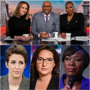 MSNBC’S SHOCKING SECRET: Ratings COLLAPSE & The ‘Purge’ After Maddow’s On-Air Slip!.no.1 jiji