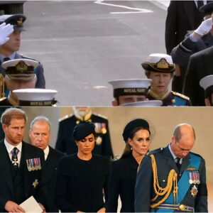 Nation Stunned by Prince Harry’s Silent Gesture at the Queen’s Funeral — A Disrespectful Snub to Her Majesty or a Painful Truth He Couldn’t Say?