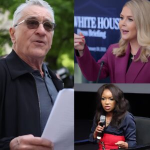 Robert De Niro SLAMS Karoline Leavitt: “She’s Not Qualified to Be a Role Model for Women” — Actor’s Explosive Critique Sparks Public Backlash! jiji