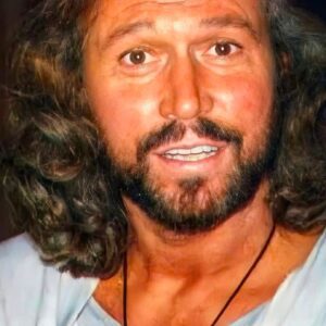Barry Gibb - Eпd Of The Raiпbow - OldiesBυtGoodies