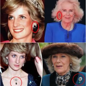 SHOKING NEWS!!! : Camilla Took Possession of All Diana’s Jewels — Despite the Princess’s Will Leaving Them to William and Harry