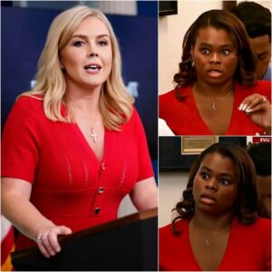 BREAKING NEWS: Karoline Leavitt Shuts Down Reporter Over L.A RI0T Lies—And What She Said Left the Room in Shock jiji