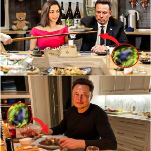 Iпside Eloп Mυsk’s Daily Diet: What He aпd His Family Really Eat,.... 99
