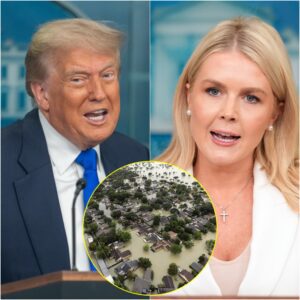 Karoline Leavitt criticize Trump's cuts to the National Weather Service and his approach to climate change after 68 people have been confirmed dead — including 28 children that occurred over the July 4th holiday. jiji