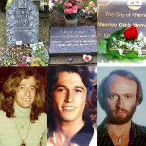 3 Graves Of The BEE GEES – Where Are They Bυried? - OldiesClassic