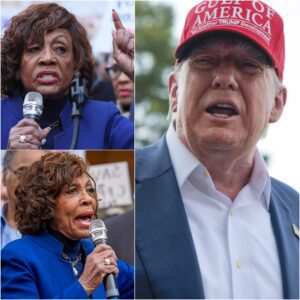 BREAKING: Maxine Waters denounces Trump administration after dozens of Democrats arrested in massive fraud probe – Trump was RIGHT it proved that… jiji