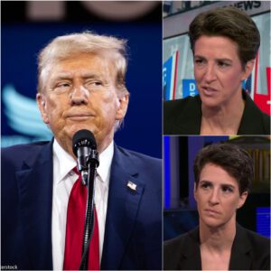‘That’s who you guys picked, regret now!??’: Rachel Maddow blasts GOP's hypocrisy of backing Trump. jiji