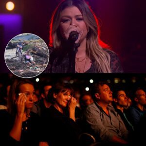 No stage effects. No background music. In the middle of a concert on the evening of July 6 in Houston, while singing a vibrant hit, Kelly Clarkson suddenly signaled to stop. The whole band fell silent.