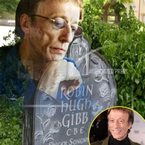 (31) Robin Gibb - Don't Cry Alone -