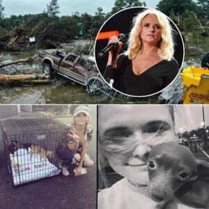 Country star Miranda Lambert is facing unexpected heat online after posting a heartfelt plea to help displaced animals affected by the devastating Texas floods. jiji