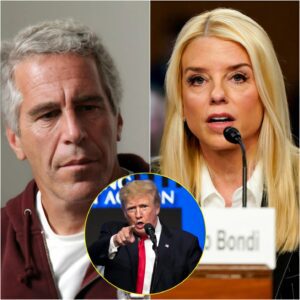 BREAKING: Donald Trump has a full-blown Saturday freakout over the growing Jeffrey Epstein scandal and claims that Attorney General Pam Bondi is doing jiji
