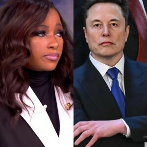 ‘It is really awful!’: Rep. Crockett explains terrifying reality if Musk has federal funds access