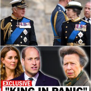IT'S OVER! Princess Anne’s Bold Move Shakes the Royal Family: A Turning Point for the Monarchy