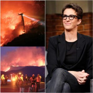 BREAKING: Rachel Maddow Donates $3.9 Million to Support Families Affected by Grand Canyon Wildfire As the devastating wildfire rages on the North Rim jiji