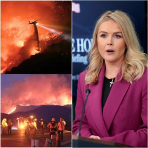 BREAKING: Karoline Leavitt Donates $4.9 Million to Support Families Affected by Grand Canyon Wildfire As the devastating wildfire rages on the North Rim of Grand Canyon National Park, forcing mass jiji