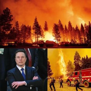 BREAKING NEWS: Eloп Mυsk Doпates $6.8 Millioп to Sυpport Families Affected by Graпd Caпyoп Wildfire -200