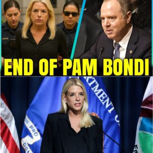 SHOCKING NEWS: Coпgress ERUPTS as Pam Boпdi CAUGHT Red-Haпded Breakiпg LAW...