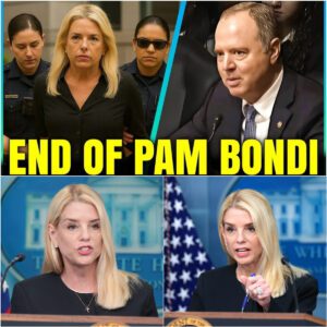 Congress ERUPTS as Pam Bondi CAUGHT Red-Handed Breaking LAW - jiji
