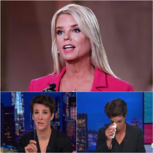 LIVE ON AIR: Pam Bondi Came to Flip the Studio Upside Down — She Walked Into MSNBC Wearing a Confident Smile, Planning to 'Cold-Shut Down' Rachel Maddow — Two Minutes Later, She Couldn’t Even Look Into the Camera. - jiji