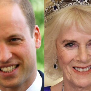 What Happens To Queen Camilla When Prince William Becomes King?