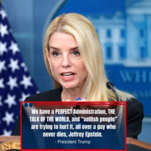 'SHE'S GREAT': Donald J. Trump is making it clear he’s standing by America’s top lawyer Pam Bondi while tearing into the Left over nonstop Epstein hype. He's blasting the so-called “Epstein Files” jiji