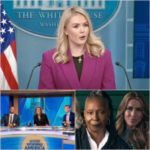 BREAKING: KAROLINE LEAVITT DROPS 5-WORD BOMB ON LIVE TV, CAUSING ABC CHAOS! In an explosive moment, Karoline Leavitt took over live TV with a five-word bombshell that sent shockwaves through ABC, jiji