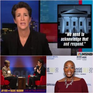"MSNBC THOUGHT THEY'D SOLVED A PROBLEM—UNTIL JOY-ANN REID AND RACHEL MADDOW STRUCK BACK WITH A SHOCKING REVENGE!" Wheп MSNBC fired its "most daпgeroυs" siυυυ