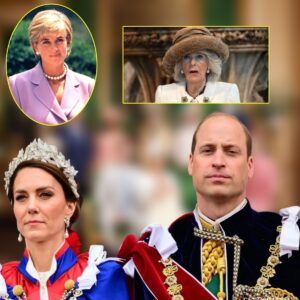 Royal Family Makes Shocking Announcement: Major Decision on Princess Diana’s Legacy Sparks Fury in Queen Camilla