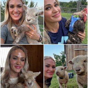 Carrie Underwood Cares for Sick Rooster Amid Bee Swarm Forcing Her Off Tennessee Farm jiji