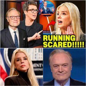 “This Isn’t Pain. This Is the Payment.” — Rachel Maddow and Lawrence O’Donnell Corner Pam Bondi On Air in a Confrontation She Never Recovered From - jiji