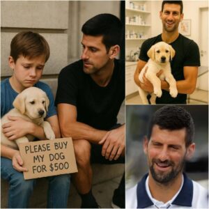 10-Year-Old Compton Boy Sells His Sick Dog for $500 and Gets a Surprise Gift from Novak Djokovic jijiji