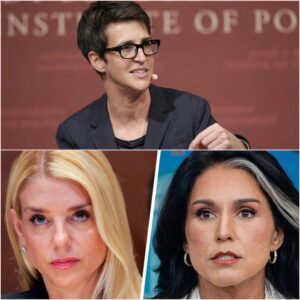 “Rachel Maddow Calls Tulsi Gabbard Conspiracy ‘Nonsense’ — So Why Did Pam Bondi’s Justice Department Create a Task Force to Investigate It?” jiji