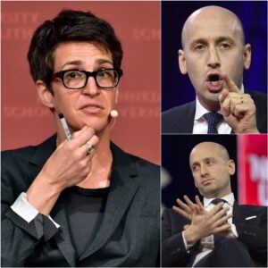 "‘RACHEL MADDOW TAKES DOWN STEPHEN MILLER LIVE ON AIR—‘YOU WANT TO TALK MORALS?’ THE SHOCKING SCANDAL THAT LEFT HIM STAMMERING!" jiji
