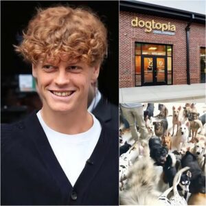 Jannik Sinner calls it “Dogtopia” — a vast 15-hectare facility under construction near Bologna, backed by a $5 million investment from him. jiji