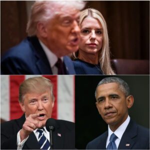 Obama fiercely condemned the “constant stream of nonsense from the White House” in a sharp attack on Trump. He dismissed the “bizarre accusations” that he had jiji